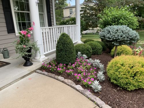 Landscaping - Front Garden 5