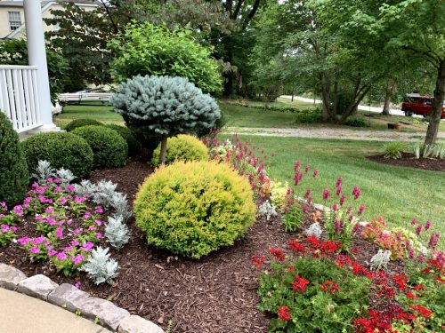Landscaping - Front Garden 6