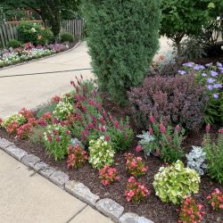 Landscaping - Front Garden 7