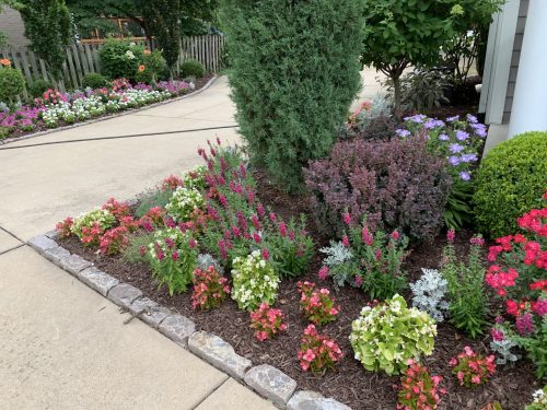 Landscaping - Front Garden 7