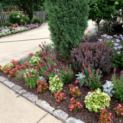 Landscaping - Front Garden 8