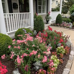 Landscaping - Front Garden 9