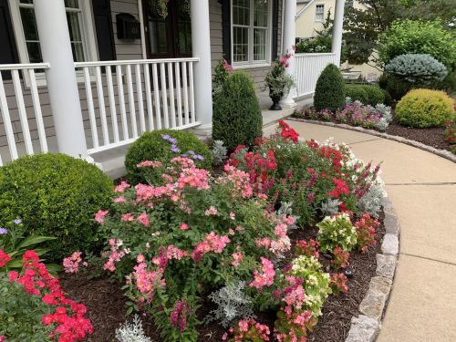 Landscaping - Front Garden 9