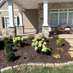 Landscaping - Front Yard 2