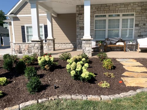 Landscaping - Front Yard 2