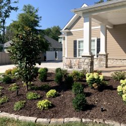 Landscaping - Front Yard 3