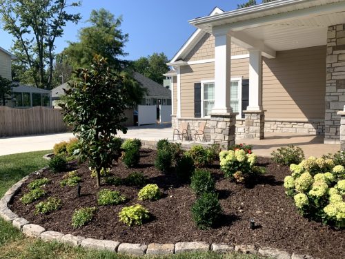 Landscaping - Front Yard 3