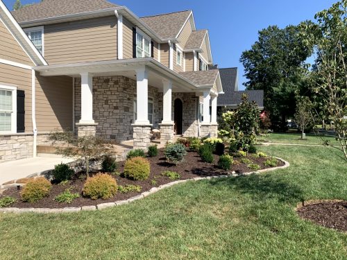 Landscaping - Front Yard 4