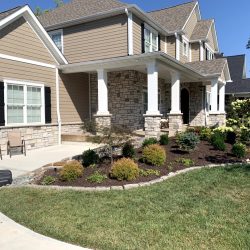 Landscaping - Front Yard 5