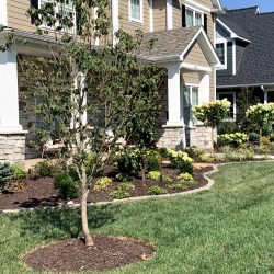 Landscaping - Front Yard 6