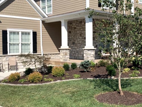 Landscaping - Front Yard 7