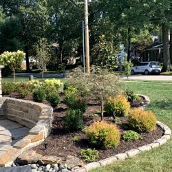 Landscaping - Front Yard 8