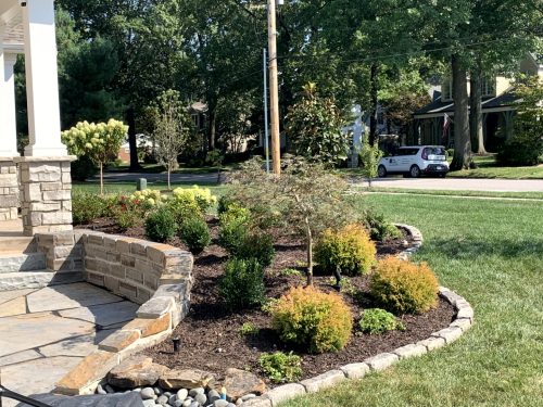Landscaping - Front Yard 8
