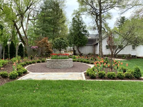Landscaping - Side Garden 14