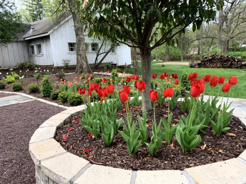 Landscaping - Side Garden 3