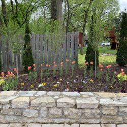 Landscaping - Side Garden 6