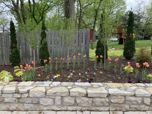 Landscaping - Side Garden 6