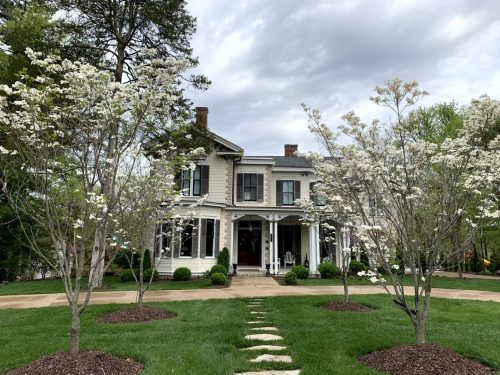 Landscaping - Trees 2