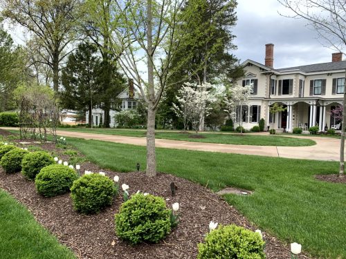 Landscaping - Trees & Bushes 1