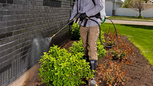 Perimeter Barrier Service