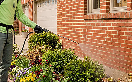 Mosquito Flea Tick Pest Control Ballwin MO