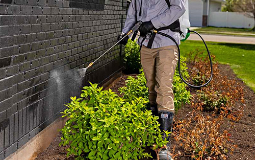 Mosquito Flea Tick Pest Control Chesterfield MO