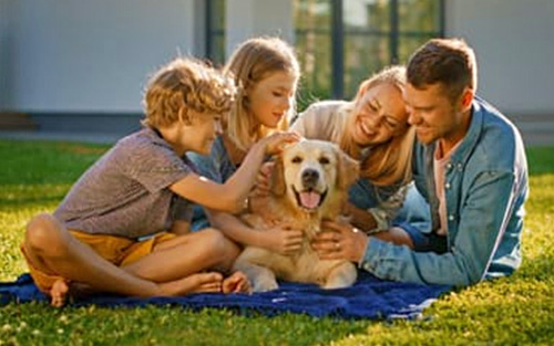 Mosquito Flea Tick Pest Control Creve Coeur MO