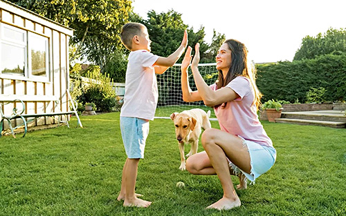 Mosquito Flea Tick Pest Control Eureka MO