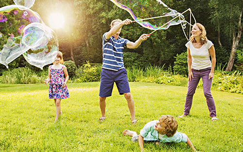 Mosquito Flea Tick Pest Control Fenton MO