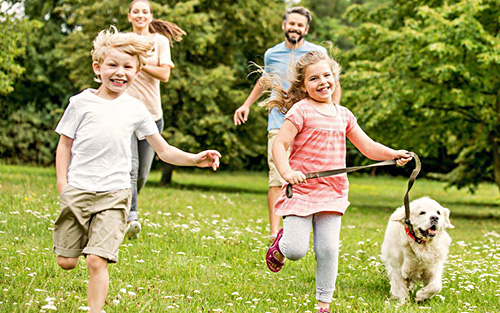 Pest Control Creve Coeur MO