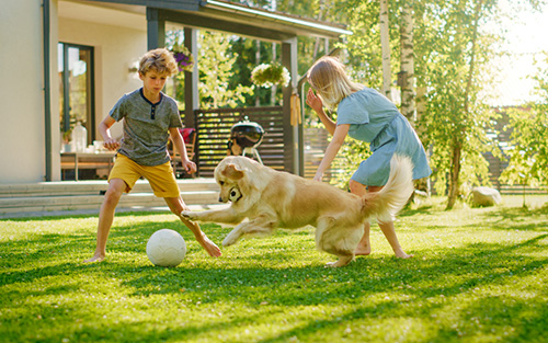 Pest Control Eureka MO