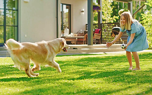 Pest Control Fenton MO